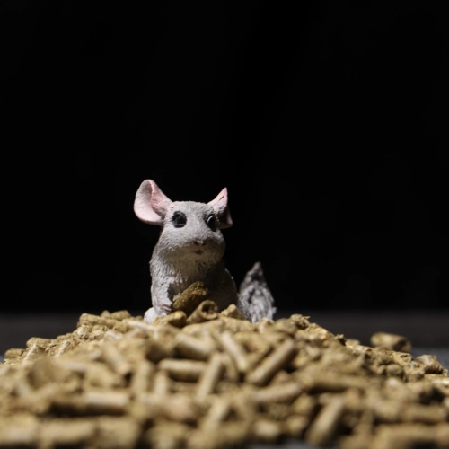 25 марта Соединенные Штаты импортировали Mazuri Mazuri Totoro Nutrition Main Food Feed 2,5 фунта новой упаковки