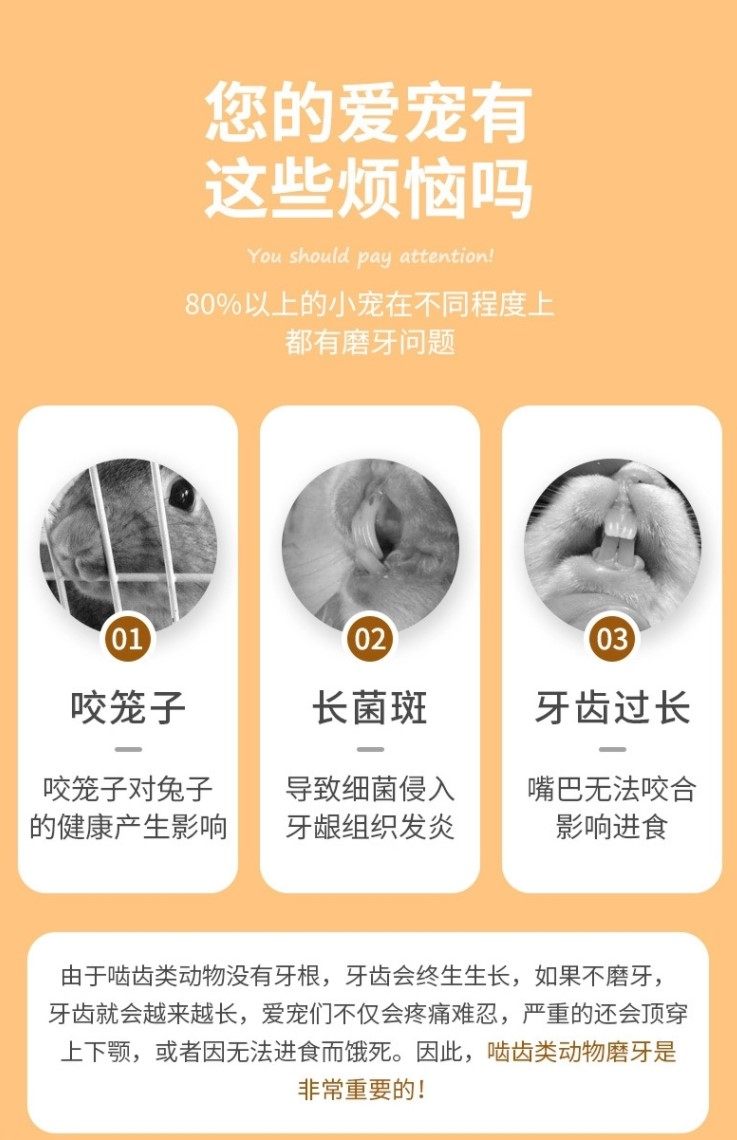 逸宠｜赫尔达盒装烘干苹果木枝龙猫兔子豚鼠磨牙产品无农药500G装,淘宝优惠券,粉丝福利购,淘宝优惠卷