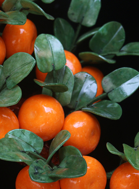 桔子天然玉石室内玉石大型盆景