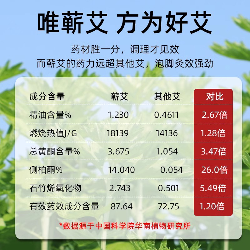 蕲艾草精油全身体按摩通经络刮痧肩颈腰开背脸面部免洗推油艾叶油 - 图2