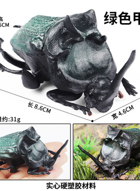 儿童仿真动物模型昆虫玩具甲虫屎壳郎蜗牛微景观花园造景家居摆件