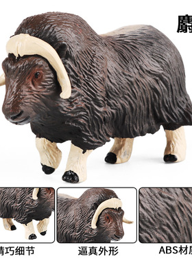 跨境儿童实心仿真动物模型牧场北极麝香小牛北极麝牛玩具家居摆件
