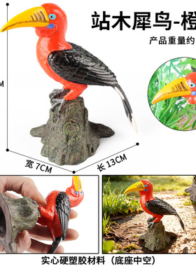 仿真鸟飞禽动物模型玩具站木犀鸟钟情鸟园林家居装饰盆景模型摆件
