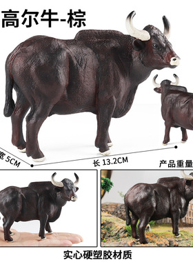 跨境儿童仿真动物玩具实心牛动物模型高尔牛认知礼品家居装饰摆件