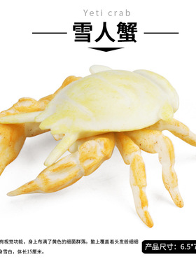 跨境儿童仿真螃蟹模型雪人蟹海底海洋动物认知玩具家居鱼缸摆件