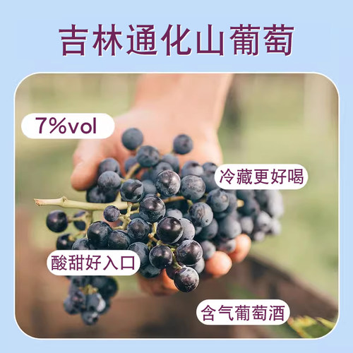 通化葡萄酒大小爽口山葡萄汽酒女士甜红酒起泡酒通葡股份吉林特产 - 图0