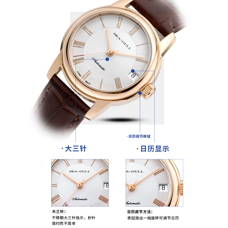 官方正品海鸥手表男防水自动机械表镀金腕表519.405时尚商务男表