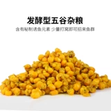 Кукурузная гранулы приманка, гнездо рыбацкая рыбалка, сом, карп карпа травы, специальное весеннее и летнее гнездо, пшеничная пшеница
