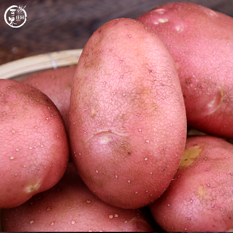 新鲜大土豆农家自种蔬菜云南红皮黄皮黄心土豆马铃薯洋芋9斤包邮 - 图1