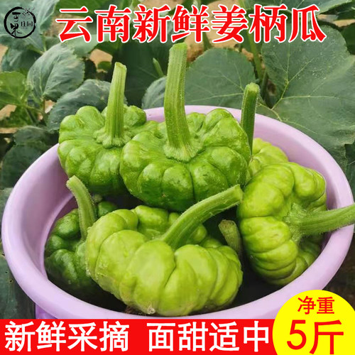 云南小麦瓜姜柄瓜小瓜姜饼瓜新鲜蔬菜嫩南瓜甜瓜小绿瓜5斤包邮 - 图1