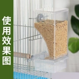 Parrot Bird Food Box Anti -Sprinkler Автоматическая фидер