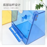 Тайгерский бассейн бассейн птиц продукты птицы peony xuanfeng thrus Восемь брата, брат Плоттен Бак -капель