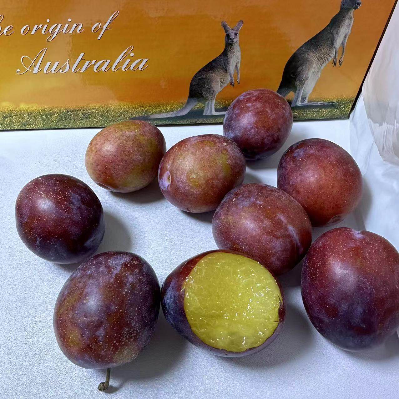 澳洲进口西梅 原箱约4斤中大果新鲜空运李子水果甜脆孕妇宝宝辅食,淘宝优惠券,粉丝福利购,淘宝优惠卷