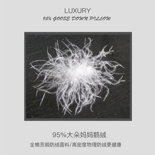 OWNFUN双人羽绒枕芯鹅绒羽毛长枕头情侣枕全身体等长枕头大抱睡枕 - 图2