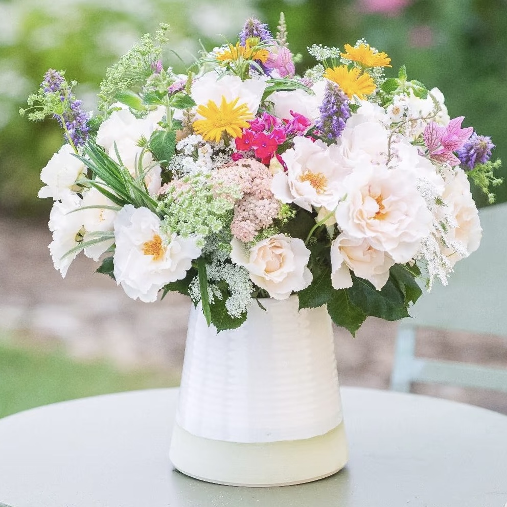 玛格丽特梅丽尔 月季 新品 灌木 强香 丰花 英国品种 - 图1