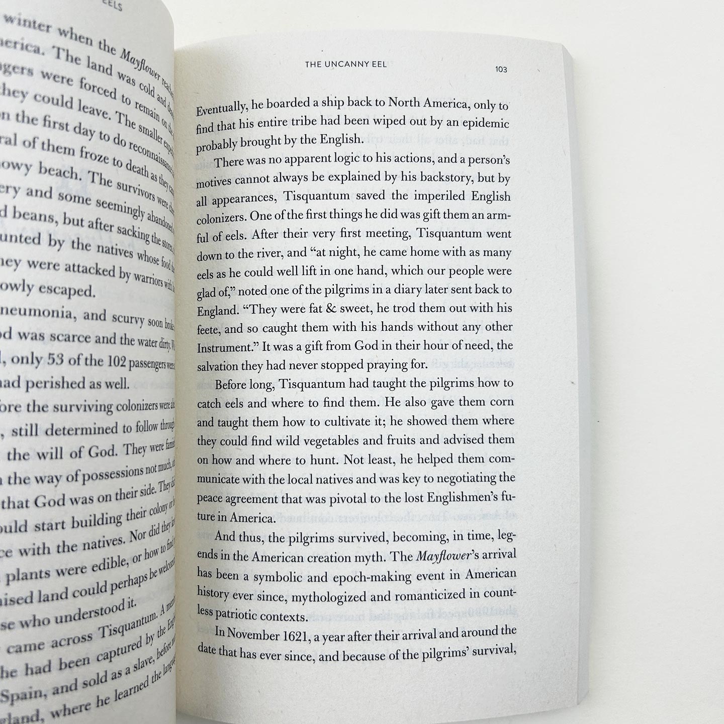 鳗鱼的旅行 英文原版 The Book of Eels 一场对目标与意义的探寻 奥古斯特文学奖 英文版 进口英语原版书籍
