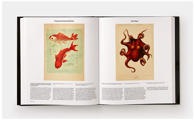 动物 探索动物学的世界 英文原版 Animal Exploring the Zoological World 300多幅迷人的图片 画册 英文版进口原版英语书籍