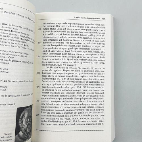 韦洛克拉丁语读物 第2版进口英文原版 Wheelock’s Latin Reader 收录大量古典拉丁语作家原文赏读拉丁语词汇自学教材书籍大学教辅 - 图1