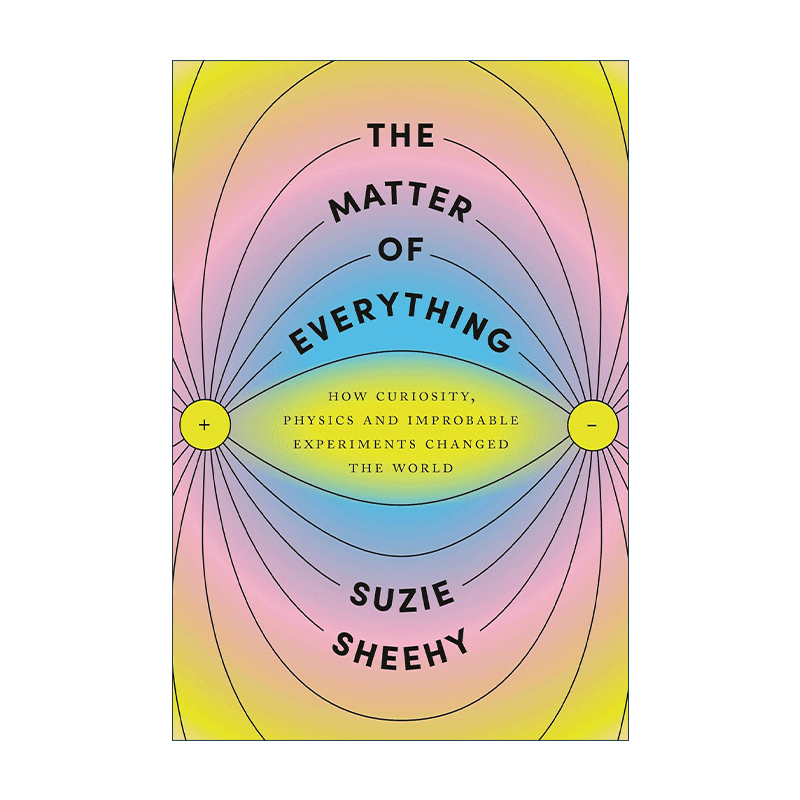 英文原版 The Matter of Everything万物之事 好奇心 物理学和不可思议的实验如何改变了世界 Suzie Sheehy 精装 进口英语原版书籍 - 图0