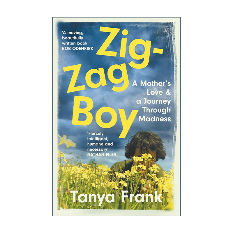 英文原版 Zig-Zag Boy 象海豹出现的时刻 一个懂得如何去爱的妈妈 孩子的心理医生 塔尼亚·弗兰克 英文版 进口英语原版书籍