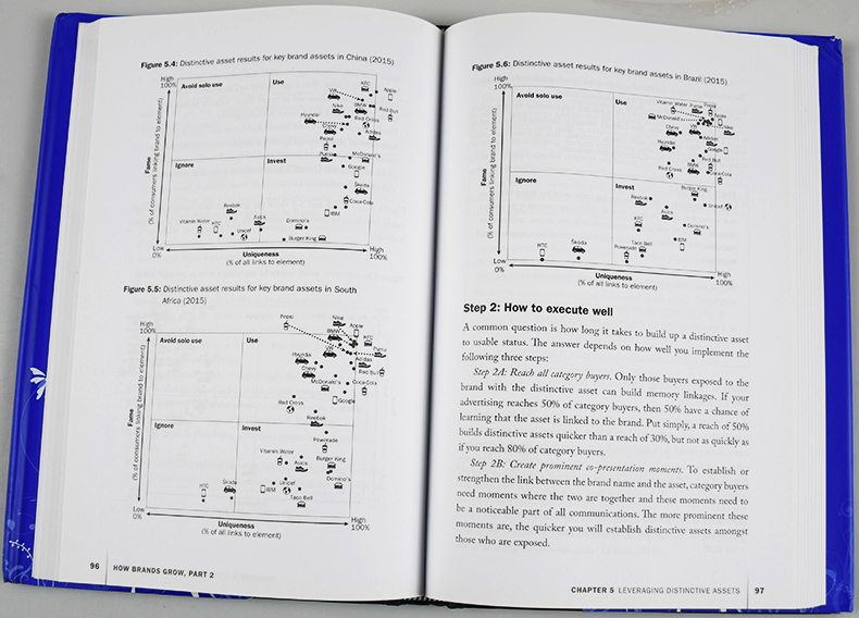 How Brands Grow Part 2 品牌如何成长 2部分 新兴市场 服务 耐用消费品 新的豪华品牌 - 图2