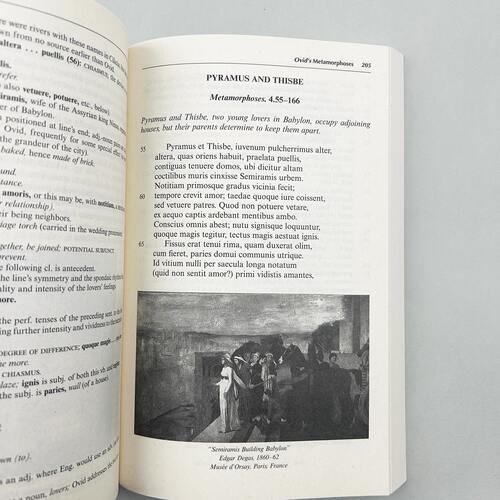 韦洛克拉丁语读物 第2版进口英文原版 Wheelock’s Latin Reader 收录大量古典拉丁语作家原文赏读拉丁语词汇自学教材书籍大学教辅 - 图0