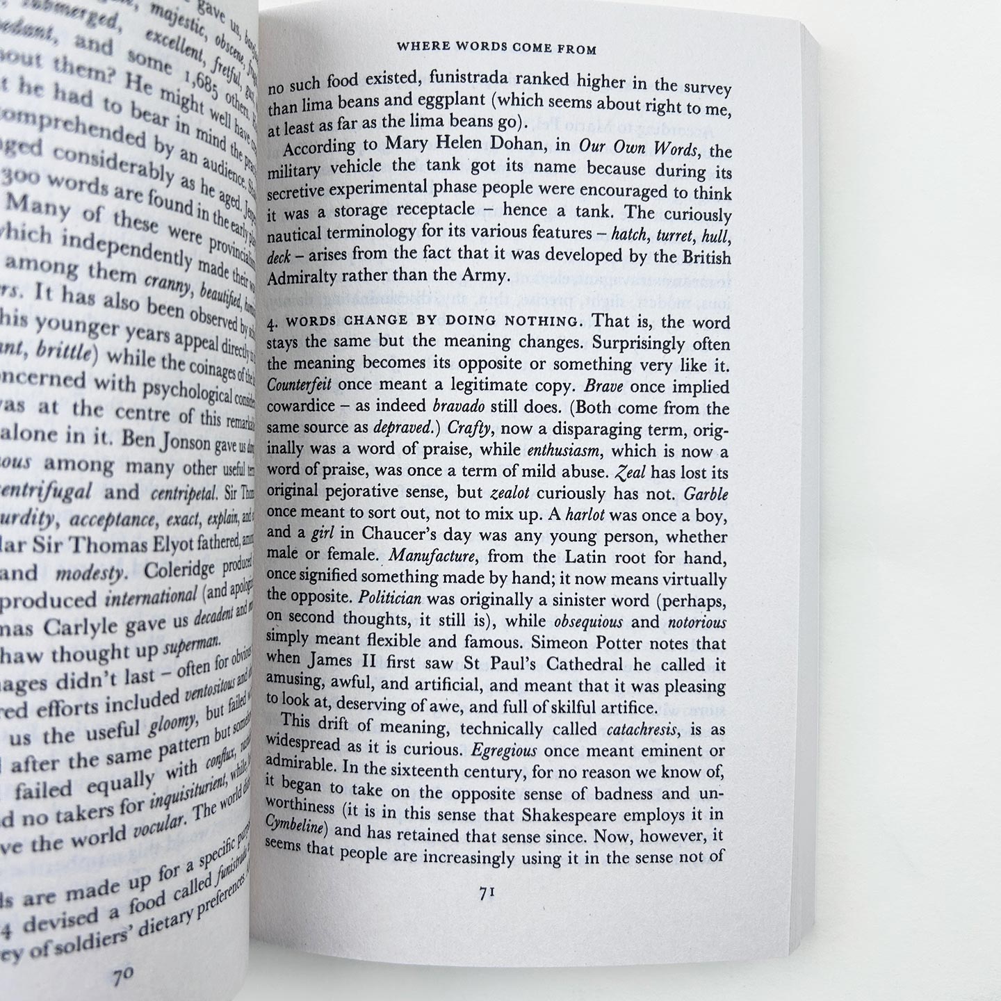 布莱森英语简史 英文原版 Mother Tongue The Story of the English Language 母语英语的故事英文版 英式笑话风格的英语百科全书