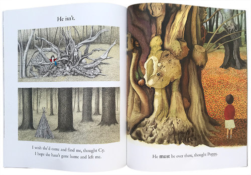 捉迷藏 英文原版 儿童绘本 Hide and Seek 躲猫猫 进口英语阅读故事书 英文版原版书籍 安东尼布朗 Anthony Browne - 图1