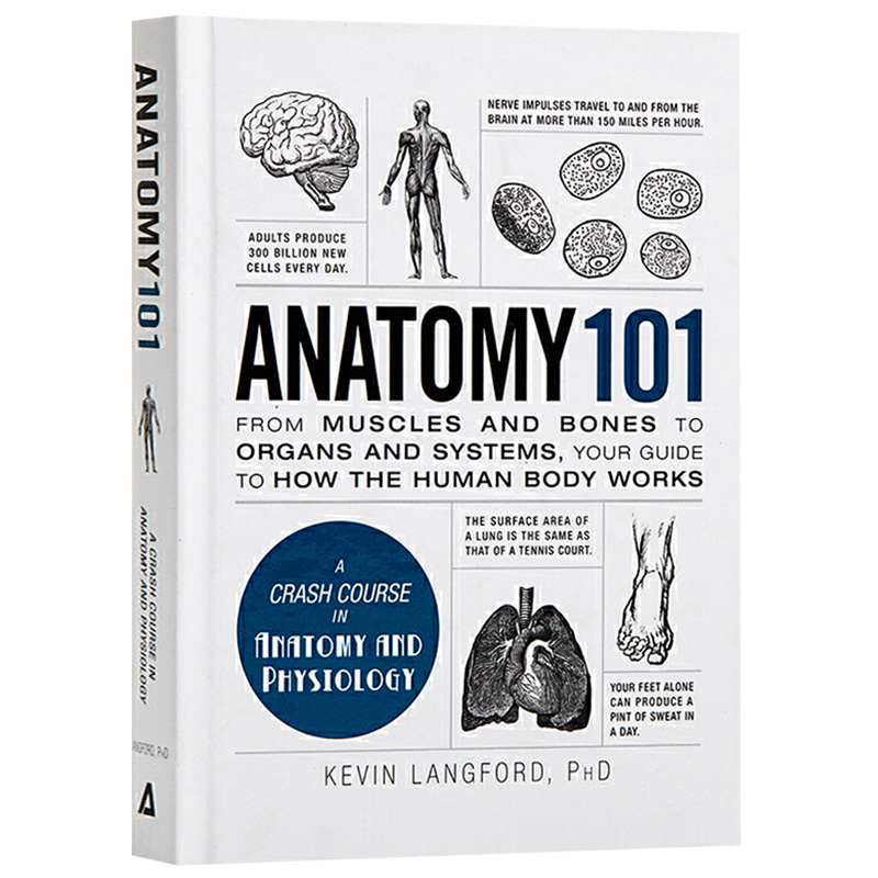 华研原版 101系列 解剖学 英文原版 Anatomy 101 医学 全英文版 进口英语书籍