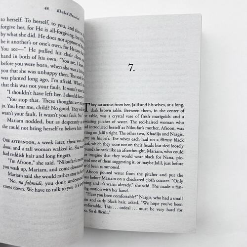 灿烂千阳 英文原版小说 A Thousand Splendid Suns 英文版进口书The Kite Runner追风筝的人作者胡赛尼另一力作英语原版搭怦然心动 - 图1