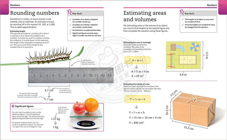 华研原版 超级简单数学 英文原版 Super Simple Maths 科普读物 儿童STEM创新思维培养读物 介绍数学概念 英文版 进口英语书籍