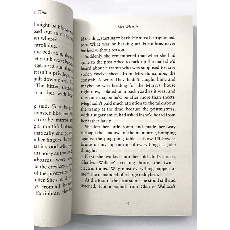 时间的皱折 英文原版 A Wrinkle in Time 迪斯尼动画 时间的皱纹 电影原著小说 梅格时空大冒险1 纽伯瑞金奖 英文版进口原版英语书 - 图2