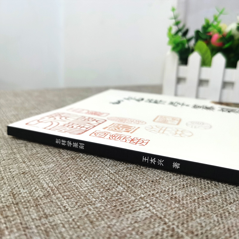 怎样学篆刻 王本兴 篆刻入门教程 印章制作基础学习入门教材 篆刻字典工具书 介绍刻刀印石印泥毛笔印床书籍 正版图书 天津人美,淘宝优惠券,粉丝福利购,淘宝优惠卷