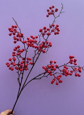 红果发财果假花仿真花摆设客厅乔迁招财果干花装饰品摆件家居花束