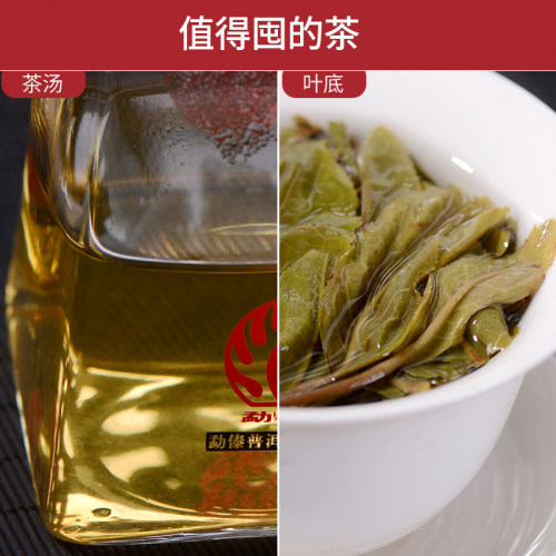 【2021春茶】昔归春露 纯料古树普洱茶生茶 云南普洱茶饼茶叶357g - 图2