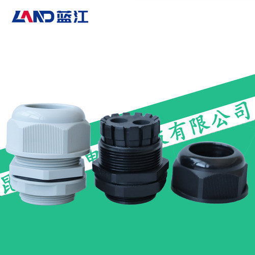 蓝江 二孔尼龙电缆固定头双孔电线防水接头2芯线缆密封格兰头IP68 - 图1