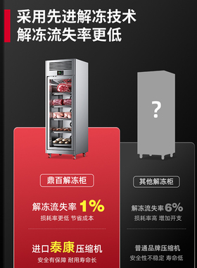 【低温解冻】高压静电商用解冻柜