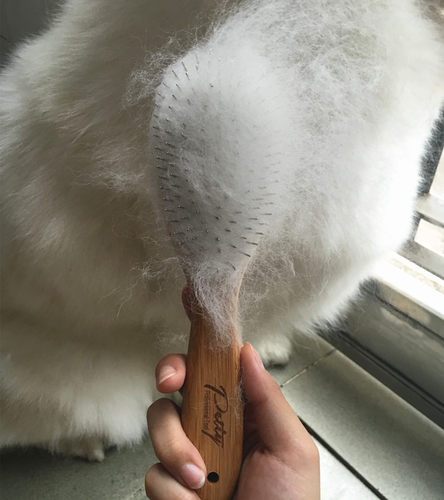良心推荐宠物针梳  长毛狗专用褪毛梳萨摩耶阿拉斯加松狮专用梳子 - 图2