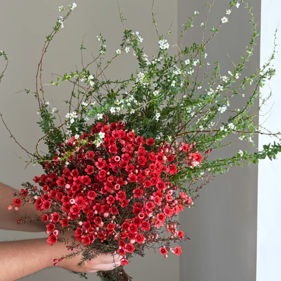 雪柳花鲜花腊梅节日鲜花束家庭混搭花束鲜花速递家庭水养鲜切花,淘宝优惠券,粉丝福利购,淘宝优惠卷