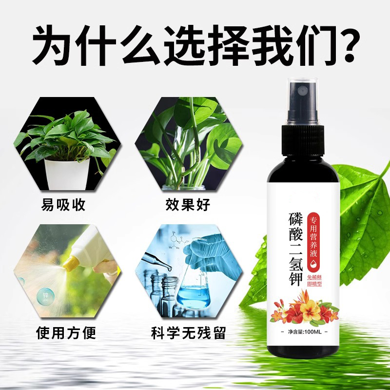 磷酸二氢钾营养液盆栽植物叶面肥料花卉通用养花种花催花肥免稀释 - 图2