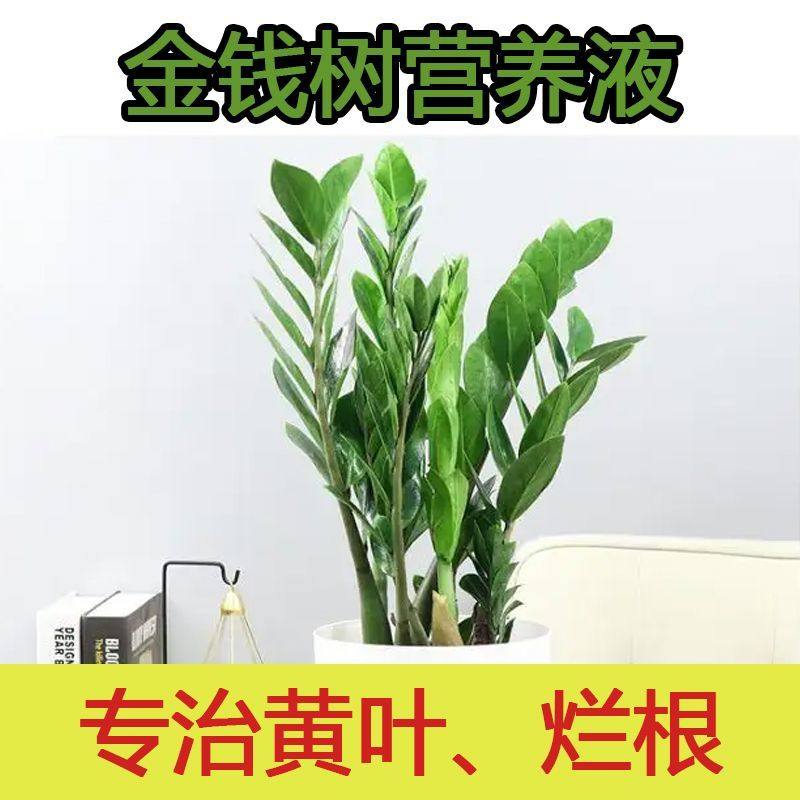 免稀释金钱树专用营养液室内发黄树叶面花肥料花卉盆栽绿植物专用,淘宝优惠券,粉丝福利购,淘宝优惠卷