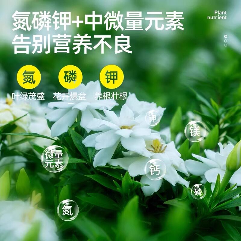 栀子花肥料专用肥营养液开花植物家用养花专用盆栽通用型酸性花肥
