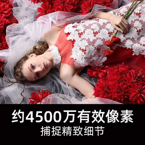 Canon/佳能EOS R5单机身全画幅专业微单24-105数码照相机专微套机 - 图0
