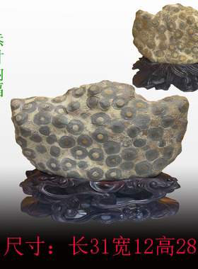 天然原石家居摆件灵璧石钱币石现代简约包邮