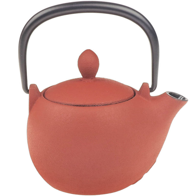 日本进口铁壶特价无涂层纯手工铁器南部手工壶茶具岩铸铁瓶生铁壶,淘宝优惠券,粉丝福利购,淘宝优惠卷