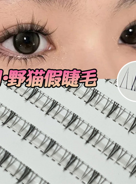 大容量人造纤维自然纤长下睫毛