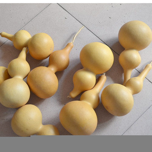 清仓处理天然大中号葫芦学生技艺练手烙画学校用商用道具白皮葫芦 - 图0