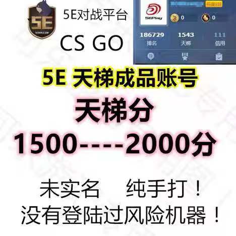 5ecsgo号5e账号100-2200分 5E天梯账号 5E低分号账户 5ECSGO白号 - 图1