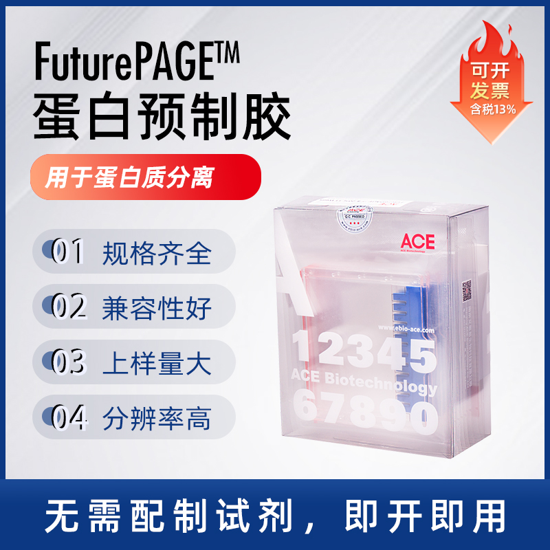 Western blot 蛋白预制胶 SDS-PAGE电泳蛋白胶 MOPS 体系梯度胶