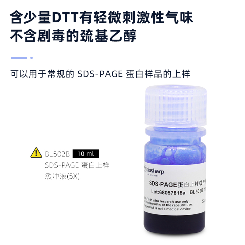 Biosharp BL502A SDS-PAGE蛋白上样缓冲液(5X)  2*1ml/组   5ml - 图1